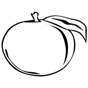 Abricot dessin