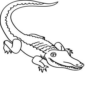 Alligator dessin