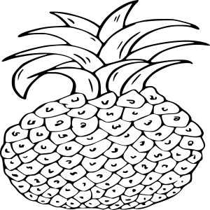 Ananas dessin