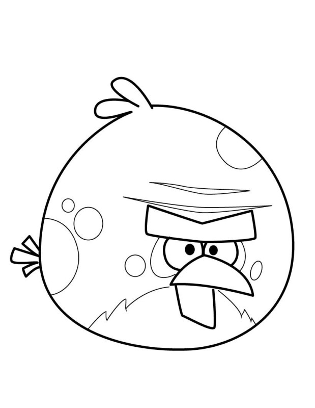 Angry Birds dessin