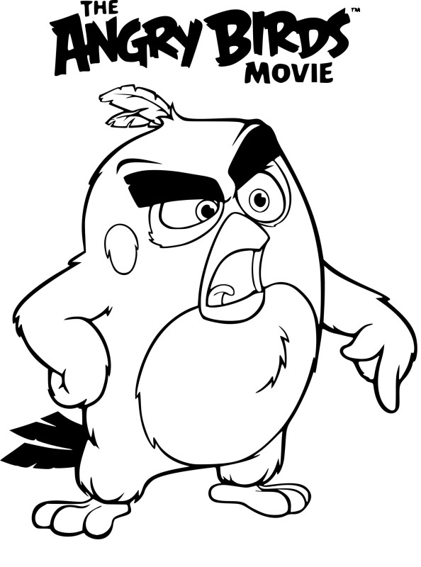 Angry Birds le film