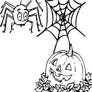 Araignée Halloween dessin