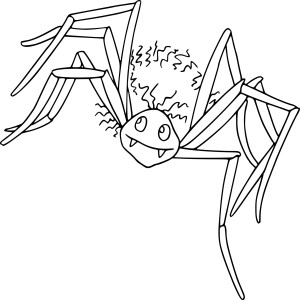 Araignée rigolote