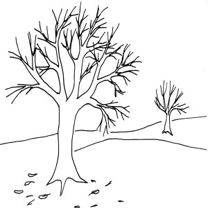 Automne arbre