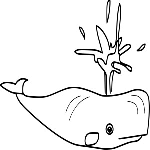 Baleine dessin