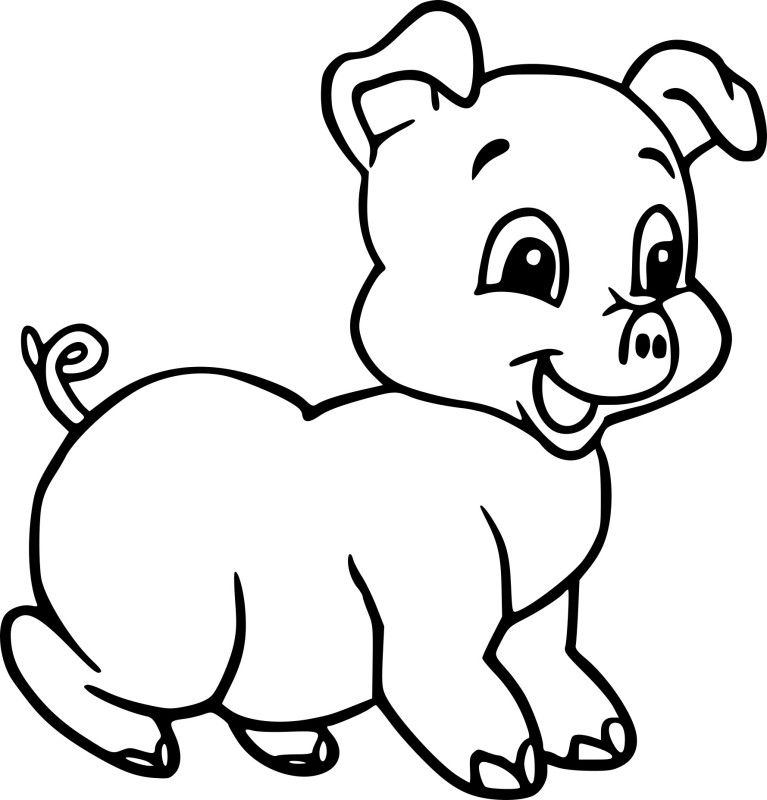 Bébé cochon dessin