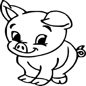 Bébé cochon