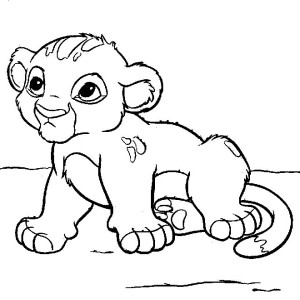 Bébé lion