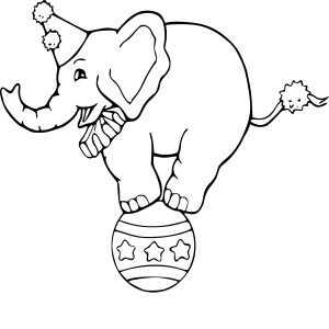 Cirque éléphant
