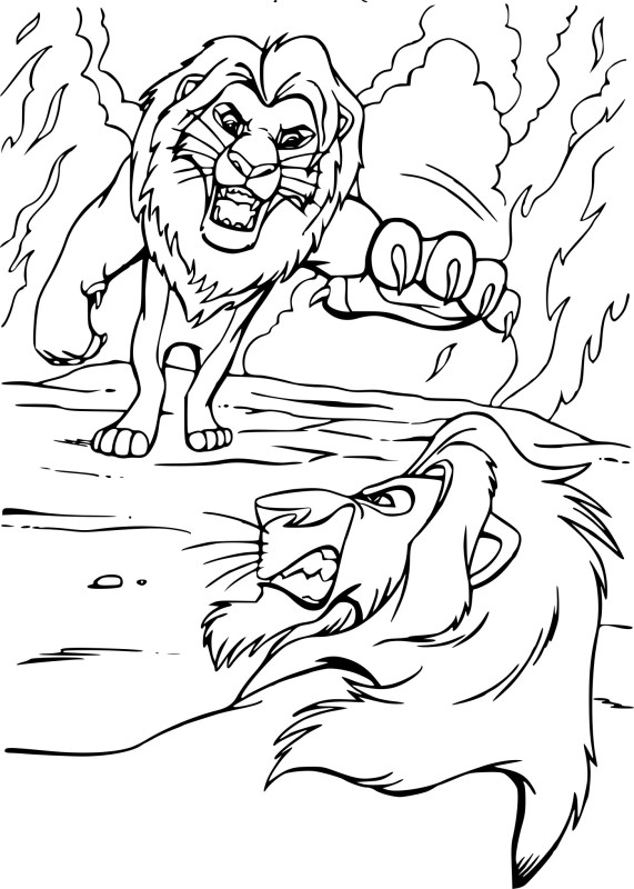 Combat Roi Lion