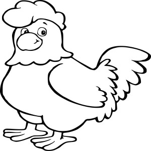 Coq poule