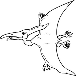 Dinosaure oiseau