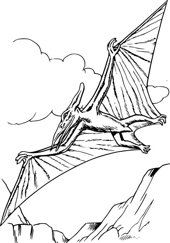 Dinosaure pterodactyle