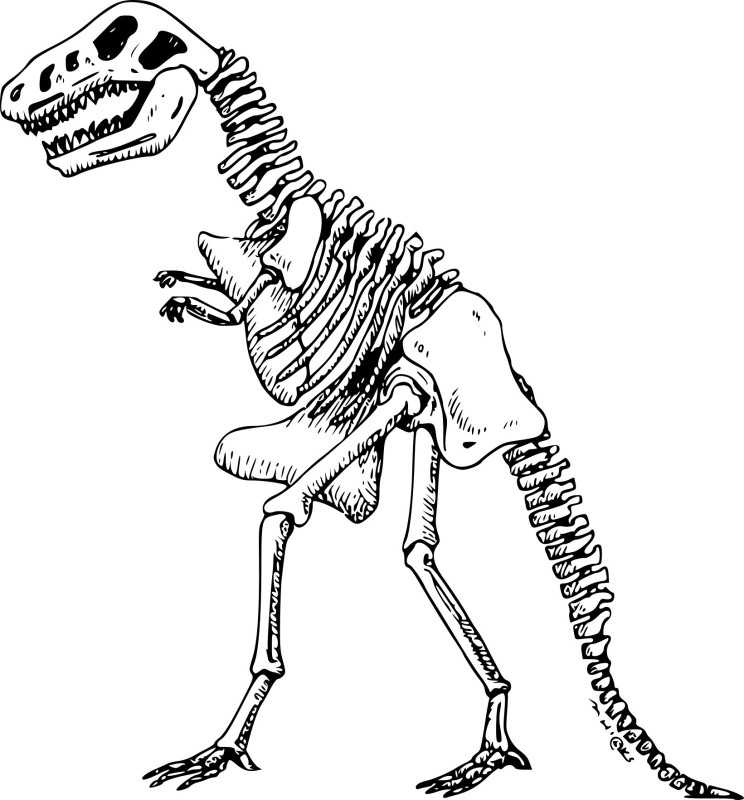 Dinosaure squelette