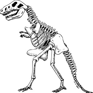 Dinosaure squelette