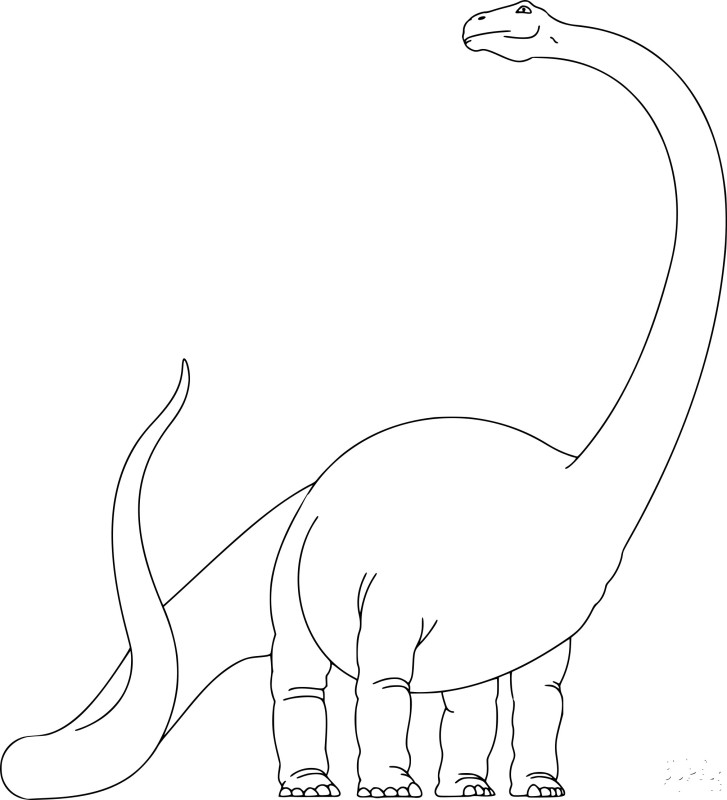 Diplodocus dinosaure