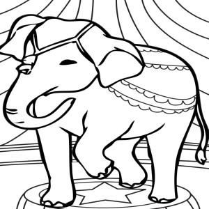 Elephant de cirque