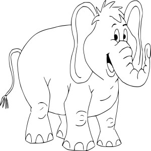 Elephant rigolo