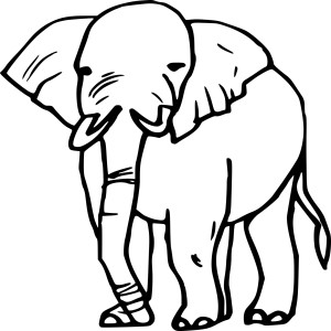 Elephant simple