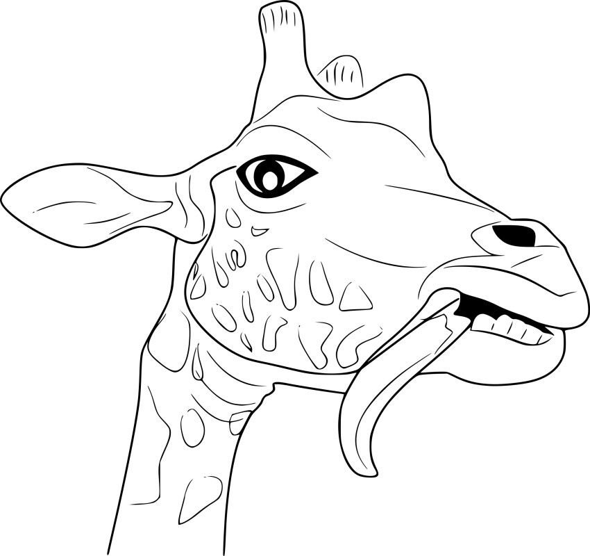 Girafe visage