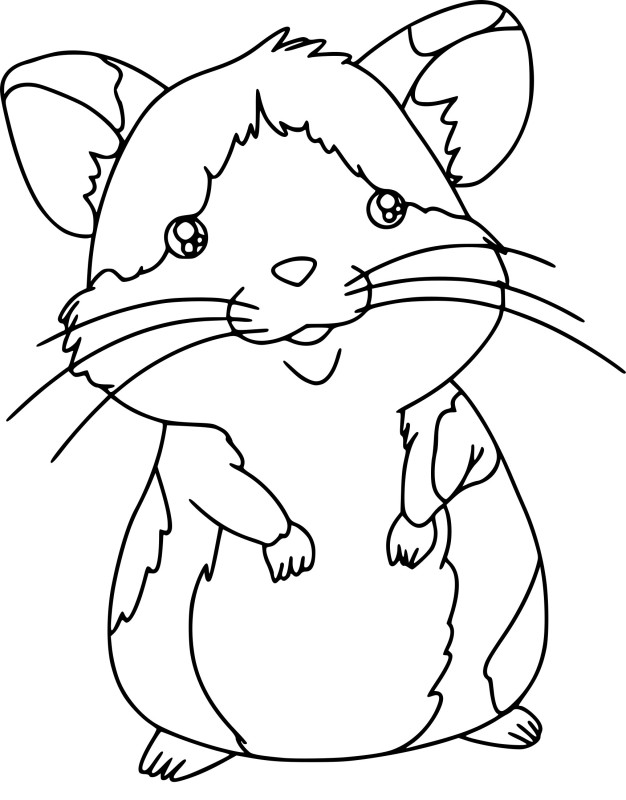 Hamster dessin