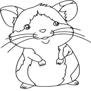 Hamster dessin
