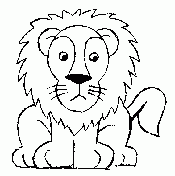 Lion dessin