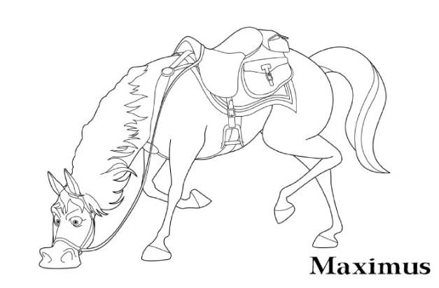 Maximus cheval