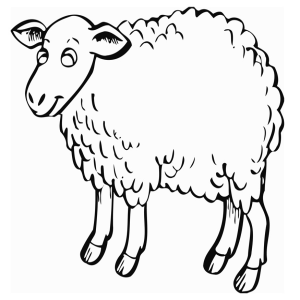 Mouton dessin