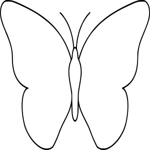 Papillon simple