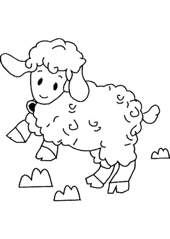 Petit agneau dessin