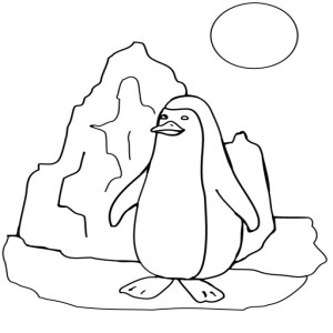 Pingouin banquise