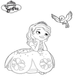 Princesse Sofia robe