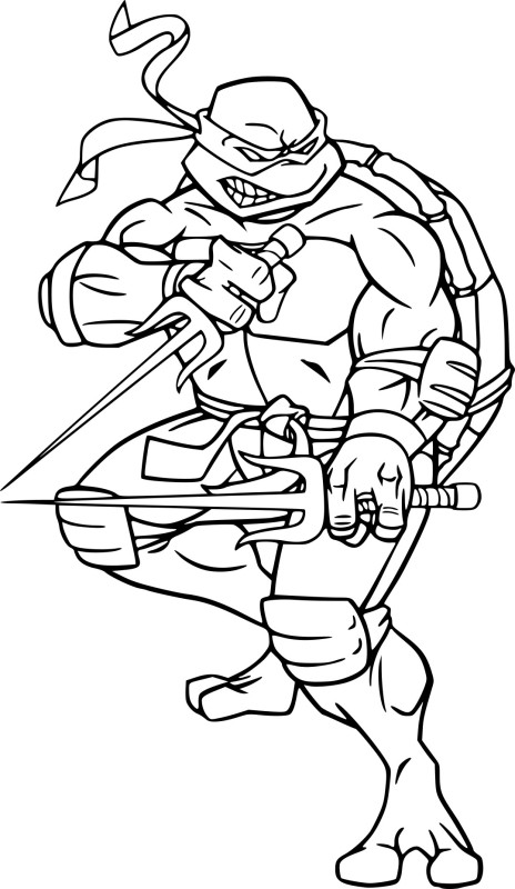 Raphael Tortue ninja