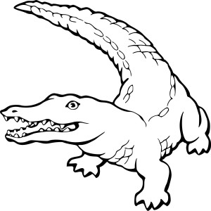 Un crocodile dessin