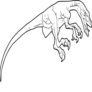 Velociraptor dessin