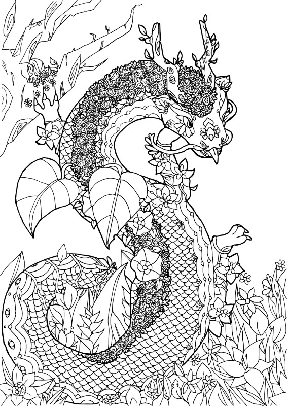 Zen dragon