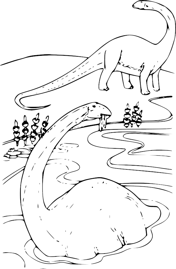 Coloriage Apatosaure dinosaure
