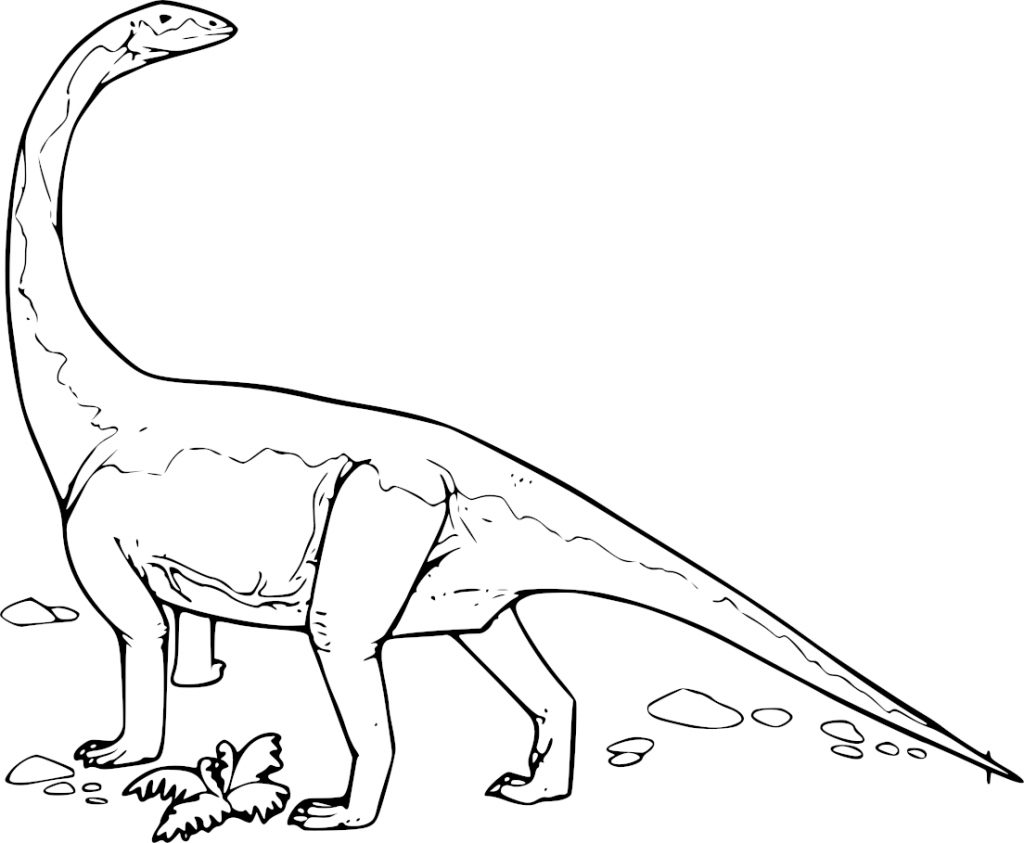 Coloriage Diplodocus grand dinosaure herbivore