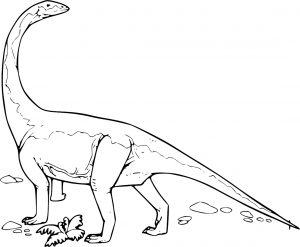 Diplodocus grand dinosaure herbivore