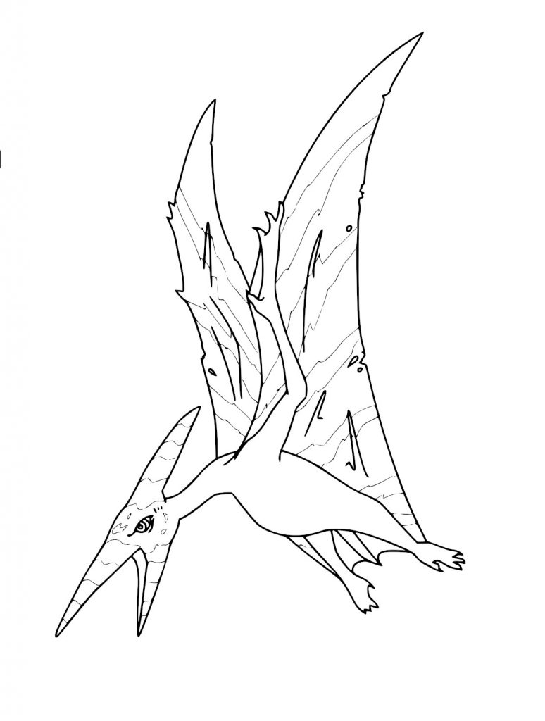 Coloriage Ptéranodon dinosaure ptérosaure