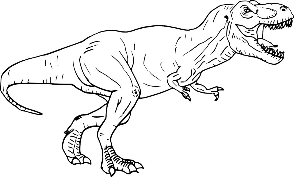 Coloriage Tyrannosaure ou T. rex