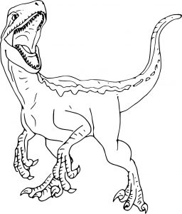 Velociraptor petit dinosaure