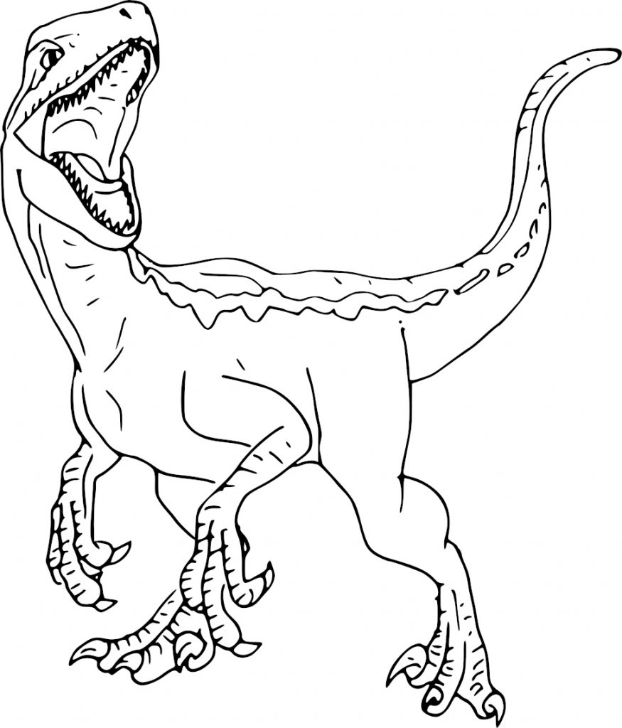 Coloriage Velociraptor petit dinosaure